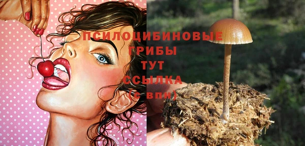 твердый Алзамай