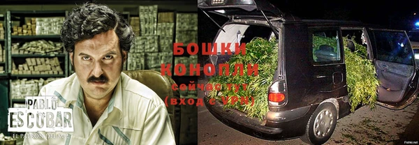 spice Алексеевка