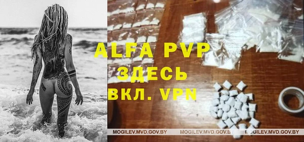 твердый Алзамай