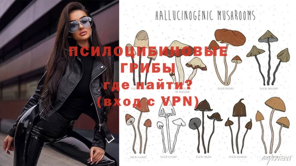 spice Алексеевка