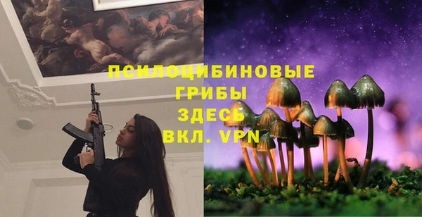 сатива Алексин